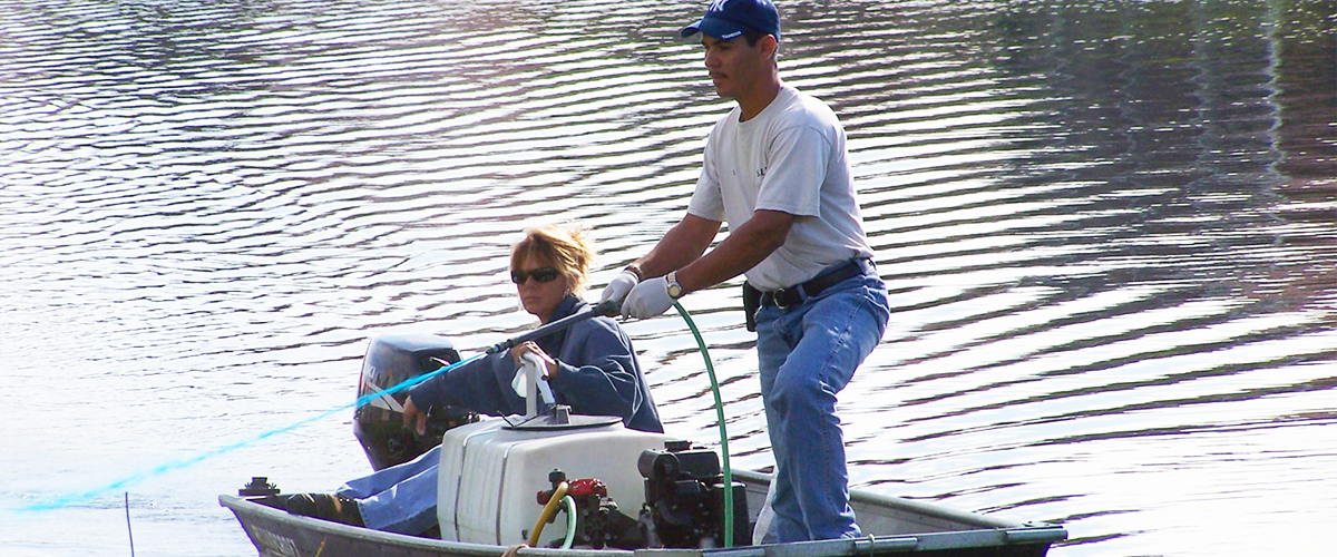 Lake Growth Control