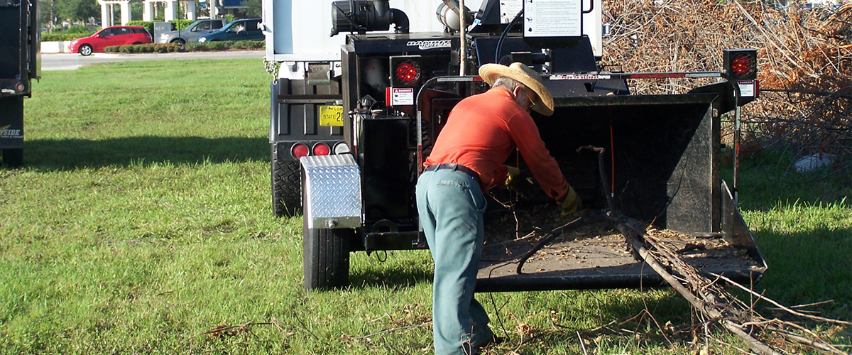 Using a Branch Eater to Clear the Land